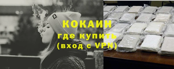 гашик Вязники
