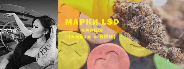 гашик Вязники